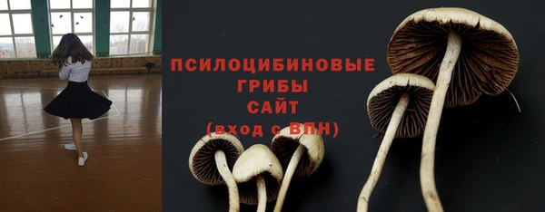 кокс Баксан