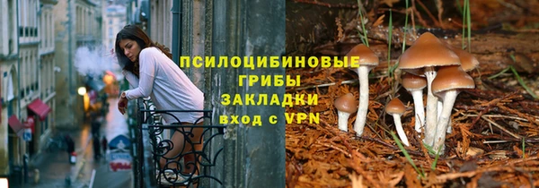 кокс Баксан