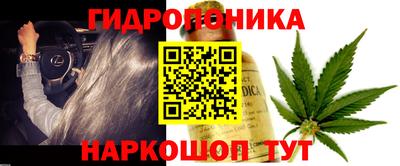 синтетический гашиш Камышлов
