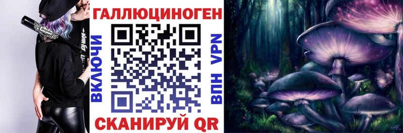 купить наркотик  Ессентуки  Галлюциногенные грибы MAGIC MUSHROOMS 