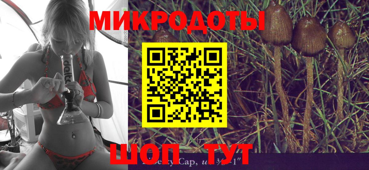 Псилоцибиновые грибы ЛСД Ессентуки