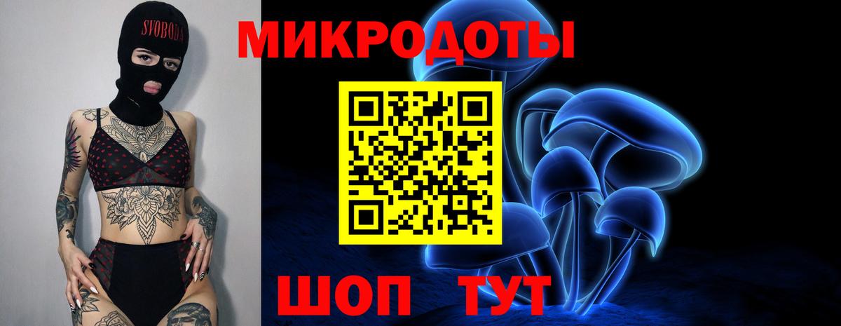 Псилоцибиновые грибы Cubensis  Галлюциногенные грибы MAGIC MUSHROOMS  Ессентуки  где купить наркотик  Вход с VPN 